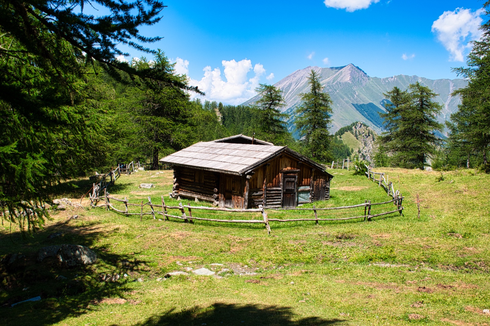 Baita in legno in un prato circondato da larici, con montagne e nuvole bianche sullo sfondo