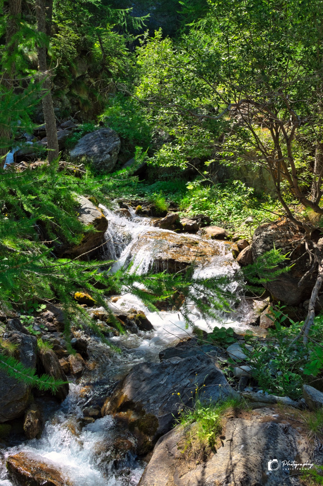 Piccole cascate di un torrente tra rocce e vegetazione fitta